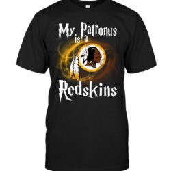 Nfl Washington Redskins T-shirt cool slogan 14 For Fans