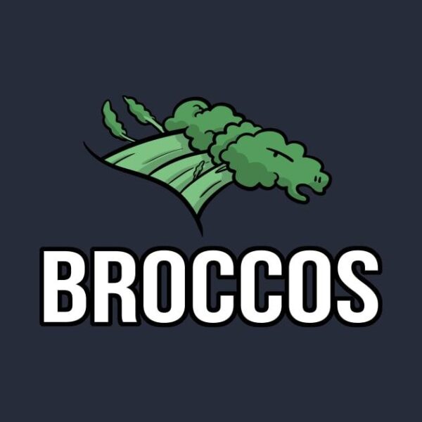 Denver Broccos T Shirt 2