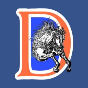 Denver Broncos T-Shirt vjN Denver Broncos T Shirt 2 8
