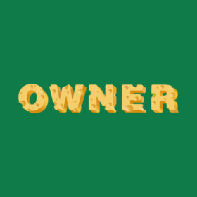 Green Bay Packer Owner T-Shirt Green Bay Packer Owner T Shirt 2