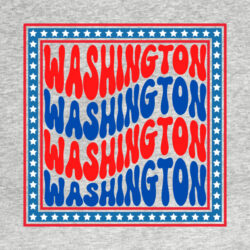 Washington tshirt T-Shirt Washington tshirt T Shirt 2