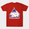 washington dc baseball Gift T Shirt 1