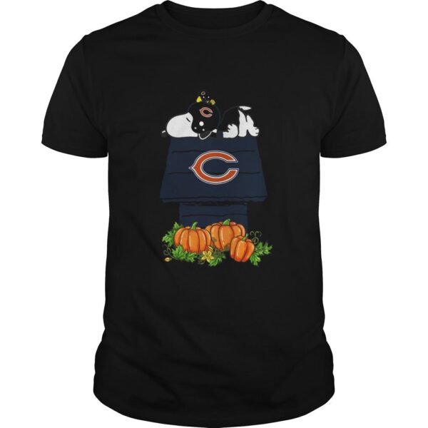 Chicago Bears Snoopy Pumpkin House NFL